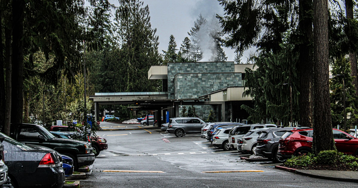 ANPR for Hospital Car Parks: A Developer Guide